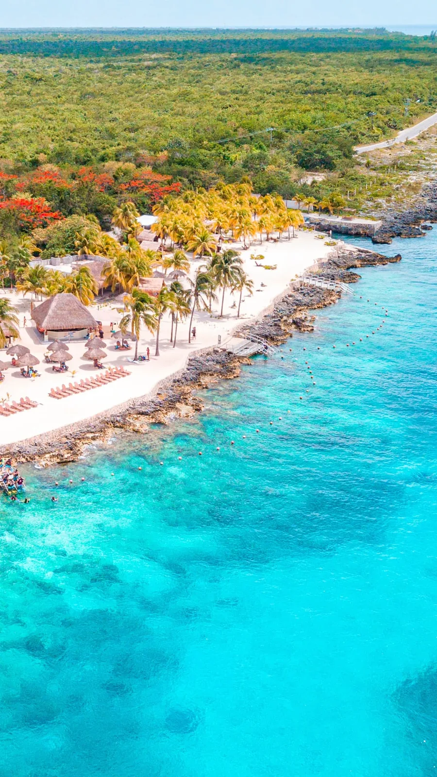 Aerial view of a Cozumel beach club with loungers, palms, and crystal-clear snorkeling water